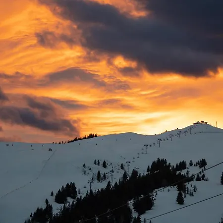 1 Au Pied Des Pistes Appartement