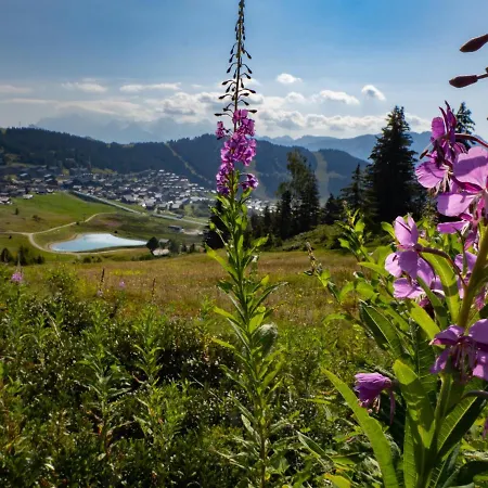 1 Au Pied Des Pistes *